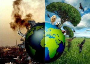 susanne_posel_news_-ecocide-earth1