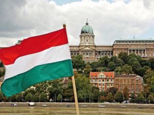 Steag ungaria